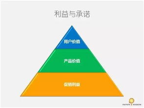黃楊堅韌 初創企業營銷戰略設計核心要點解析